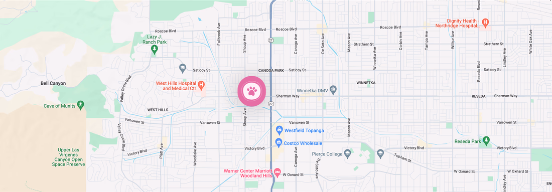 Tali Tails Dog Grooming and Daycare Location at 22323 Sherman Way #12, Canoga Park, CA 91303