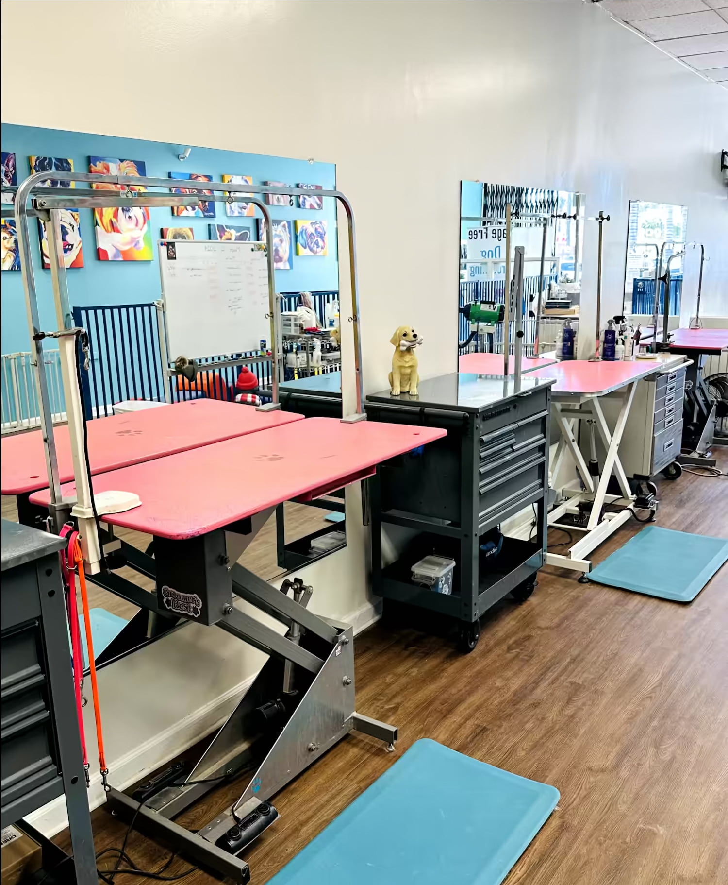 Interior photo of Tali Tails Dog Grooming and Daycare, showing three pink dog grooming tables with mirrors and dog themed artwork on the wall. It is spacious and clean.